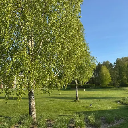 Apartment Zatoka Premium Olsztyn (Warmian-Masurian)